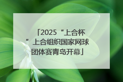 2025“上合杯”上合组织国家网球团体赛青岛开幕